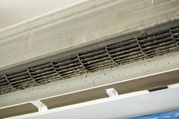 Best Air Vent Cleaning Services  in Melville, NY